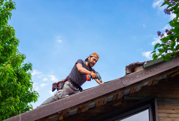 Best Asphalt Shingle Roofing  in Richton Park, IL